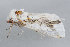 ( - MDOK-1489)  @12 [ ] Copyright (2010) Unspecified Unspecified