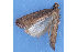  ( - MDOK-1514)  @12 [ ] Copyright (2010) Unspecified Unspecified