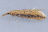  ( - MDOK-1833)  @12 [ ] Copyright (2010) Unspecified Unspecified