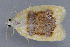  ( - MDOK-1836)  @12 [ ] Copyright (2010) Unspecified Unspecified