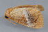  ( - MDOK-1837)  @13 [ ] Copyright (2010) Unspecified Unspecified