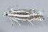  ( - MDOK-1846)  @12 [ ] Copyright (2010) Unspecified Unspecified