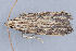  ( - MDOK-1853)  @12 [ ] Copyright (2010) Unspecified Unspecified