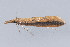  ( - MDOK-1854)  @12 [ ] Copyright (2010) Unspecified Unspecified