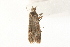  ( - MDOK-1867)  @12 [ ] Copyright (2010) Unspecified Unspecified