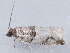  ( - MDOK-1932)  @12 [ ] Copyright (2010) Unspecified Unspecified