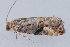  ( - MDOK-1982)  @12 [ ] Copyright (2010) Unspecified Unspecified