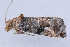  ( - MDOK-1985)  @12 [ ] Copyright (2010) Unspecified Unspecified