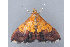  ( - MDOK-1990)  @13 [ ] Copyright (2010) Unspecified Unspecified