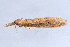  ( - MDOK-1991)  @12 [ ] Copyright (2010) Unspecified Unspecified