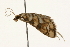  ( - MDOK-1996)  @13 [ ] Copyright (2010) Unspecified Unspecified
