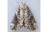  ( - MDOK-2035)  @12 [ ] Copyright (2010) Unspecified Unspecified