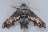  ( - MDOK-1211)  @13 [ ] Copyright (2010) Unspecified Unspecified