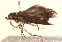  ( - MDOK-1599)  @12 [ ] CreativeCommons - Attribution (2009) Unspecified Centre for Biodiversity Genomics