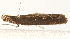  ( - MDOK-1613)  @12 [ ] CreativeCommons - Attribution (2009) Unspecified Centre for Biodiversity Genomics