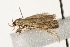  ( - MDOK-1648)  @12 [ ] CreativeCommons - Attribution (2009) Unspecified Centre for Biodiversity Genomics