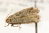  ( - MDOK-1657)  @12 [ ] CreativeCommons - Attribution (2009) Unspecified Centre for Biodiversity Genomics