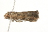  ( - MDOK-1665)  @12 [ ] CreativeCommons - Attribution (2009) Unspecified Centre for Biodiversity Genomics
