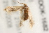  ( - MDOK-1682)  @13 [ ] CreativeCommons - Attribution (2009) Unspecified Centre for Biodiversity Genomics