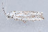  ( - MDOK-2716)  @11 [ ] Copyright (2010) Unspecified Unspecified