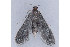  ( - MDOK-2762)  @13 [ ] Copyright (2010) Unspecified Unspecified