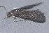  ( - MDOK-3009)  @12 [ ] Copyright (2010) Unspecified Unspecified