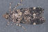  ( - MDOK-3040)  @12 [ ] Copyright (2010) Unspecified Unspecified