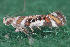  ( - MDOK-3052)  @12 [ ] Copyright (2010) Unspecified Unspecified