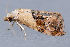  ( - MDOK-3063)  @12 [ ] Copyright (2010) Unspecified Unspecified