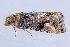  ( - MDOK-2082)  @12 [ ] Copyright (2010) Unspecified Unspecified