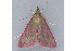  ( - MDOK-2133)  @12 [ ] Copyright (2010) Unspecified Unspecified