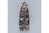  ( - MDOK-2168)  @12 [ ] Copyright (2010) Unspecified Unspecified