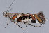  ( - MDOK-2235)  @12 [ ] Copyright (2010) Unspecified Unspecified