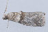  ( - MDOK-2348)  @12 [ ] Copyright (2010) Unspecified Unspecified