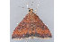  ( - MDOK-2350)  @13 [ ] Copyright (2010) Unspecified Unspecified