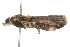  ( - MDOK-2372)  @12 [ ] CreativeCommons - Attribution (2009) Unspecified Centre for Biodiversity Genomics