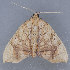  ( - MDOK-2395)  @13 [ ] Copyright (2010) Unspecified Unspecified