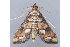  ( - MDOK-2427)  @12 [ ] Copyright (2010) Unspecified Unspecified