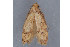  ( - MDOK-2468)  @12 [ ] Copyright (2010) Unspecified Unspecified