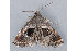  ( - MDOK-2474)  @13 [ ] Copyright (2010) Unspecified Unspecified