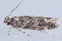  ( - MDOK-2540)  @12 [ ] Copyright (2010) Unspecified Unspecified