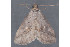  ( - MDOK-2571)  @13 [ ] Copyright (2010) Unspecified Unspecified