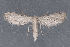  ( - MDOK-2589)  @12 [ ] Copyright (2010) Unspecified Unspecified