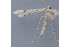  ( - MDOK-2939)  @12 [ ] Copyright (2010) Unspecified Unspecified