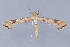  ( - MDOK-2945)  @13 [ ] Copyright (2010) Unspecified Unspecified