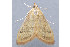  ( - MDOK-2965)  @12 [ ] Copyright (2010) Unspecified Unspecified