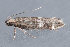  ( - MDOK-3083)  @12 [ ] Copyright (2010) Unspecified Unspecified