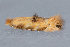  ( - MDOK-3545)  @12 [ ] Copyright (2010) Unspecified Unspecified