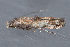  ( - MDOK-3569)  @13 [ ] Copyright (2010) Unspecified Unspecified