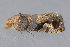  ( - MDOK-3090)  @12 [ ] Copyright (2010) Unspecified Unspecified